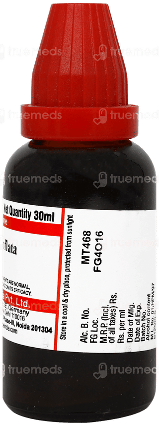 Dr Willmar Schwabe Lobelia Inflata Q Mother Tincture 30ml