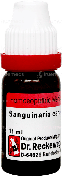 Dr Reckeweg Sanguinaria Canadensis 200 Dilution 11ml