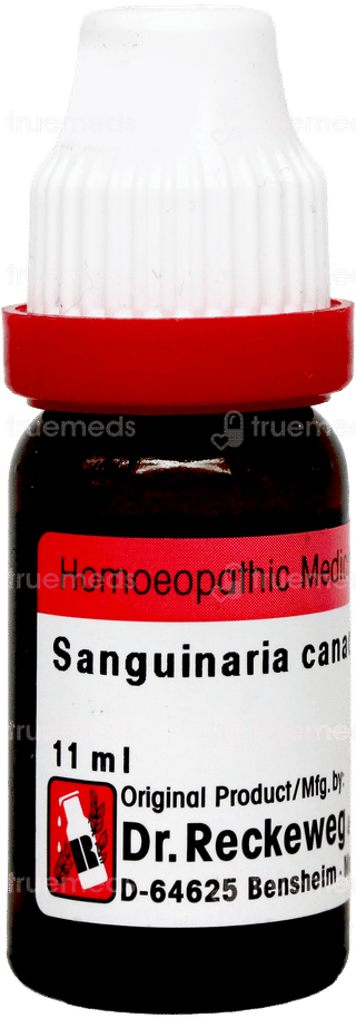 Dr Reckeweg Sanguinaria Canadensis 200 Dilution 11ml