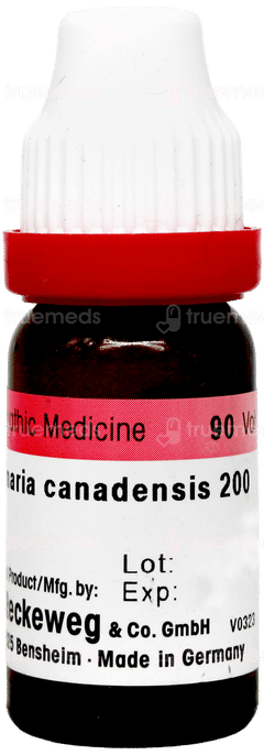 Dr Reckeweg Sanguinaria Canadensis 200 Dilution 11ml