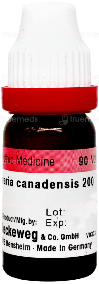 Dr Reckeweg Sanguinaria Canadensis 200 Dilution 11ml
