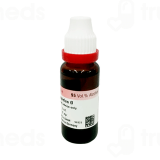 Dr Reckeweg Strophanthus Q Mother Tincture 20ml