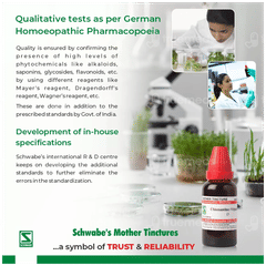 Bjain Agnus Castus Q Mother Tincture 100 Ml Bjain Agnus Castus Q Mother Tincture 100 Ml