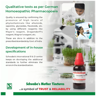 Bjain Agnus Castus Q Mother Tincture 100 Ml