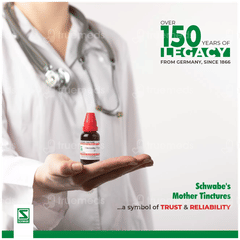 Bjain Agnus Castus Q Mother Tincture 100 Ml Bjain Agnus Castus Q Mother Tincture 100 Ml