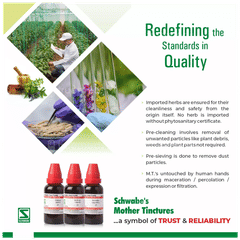 Bjain Agnus Castus Q Mother Tincture 100 Ml Bjain Agnus Castus Q Mother Tincture 100 Ml