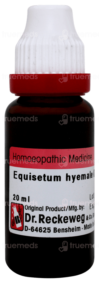 Dr Reckeweg Equisetum H Q Mother Tincture 20 ML