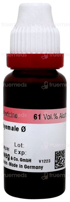 Dr Reckeweg Equisetum H Q Mother Tincture 20 ML Dr Reckeweg Equisetum H Q Mother Tincture 20 ML