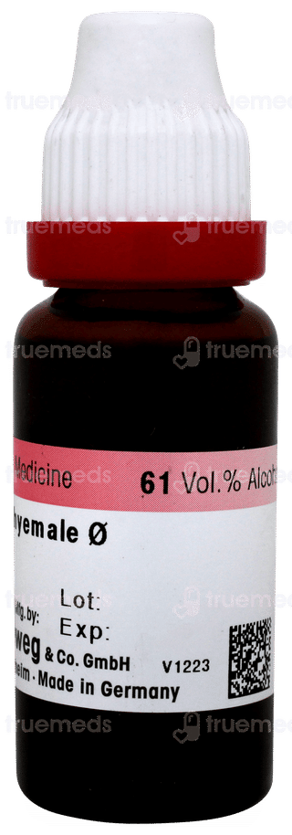 Dr Reckeweg Equisetum H Q Mother Tincture 20 ML