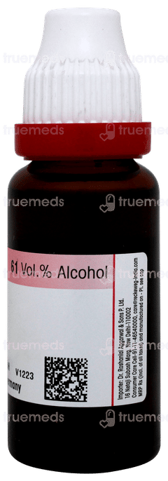 Dr Reckeweg Equisetum H Q Mother Tincture 20 ML Dr Reckeweg Equisetum H Q Mother Tincture 20 ML