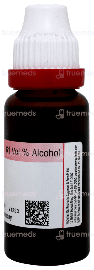 Dr Reckeweg Equisetum H Q Mother Tincture 20 ML