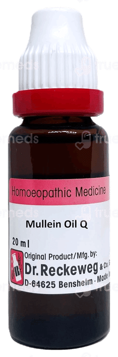 Dr Reckeweg Mullein Oil Q Mother Tincture 20Ml Dr Reckeweg Mullein Oil Q Mother Tincture 20Ml