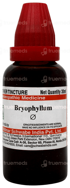 Dr Willmar Schwabe Bryophyllum Q Mother Tincture 30ml Dr Willmar Schwabe Bryophyllum Q Mother Tincture 30ml