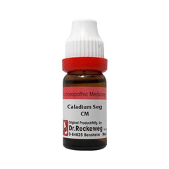 Dr Reckeweg Caladium Seg Cm Dilution 11Ml Dr Reckeweg Caladium Seg Cm Dilution 11Ml