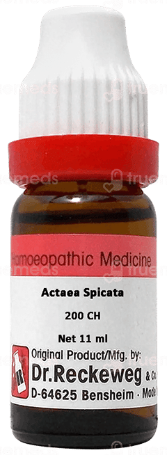 Dr Reckeweg Actaea Spicata 200Ch Dilution 11Ml Dr Reckeweg Actaea Spicata 200Ch Dilution 11Ml