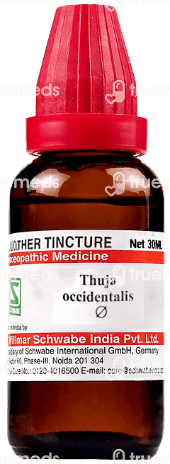 Dr Willmar Schwabe Thuja Occidentalis Q Mother Tincture 30ml Dr Willmar Schwabe Thuja Occidentalis Q Mother Tincture 30ml