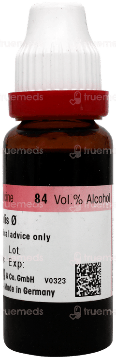 Dr Reckeweg Thuja Occi Q Mother Tincture 20ml
