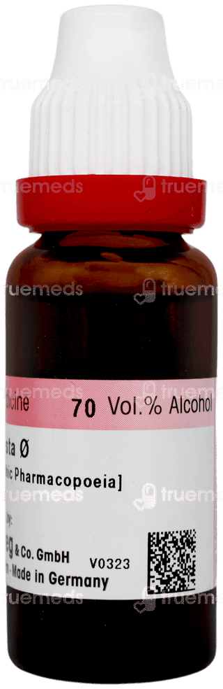 Dr Reckeweg Grindelia Rob Q Mother Tincture 20ml