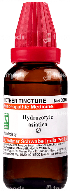 Dr Willmar Hydrocotyle Asiatica Q Mother Tincture 30 ML