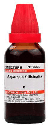 Dr Willmar Asparsgus Officinalis Q Mother Tincture 30 ML Dr Willmar Asparsgus Officinalis Q Mother Tincture 30 ML