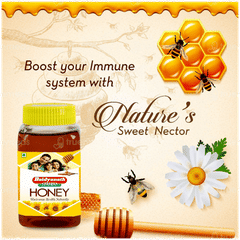 Baidyanath Honey 1kg