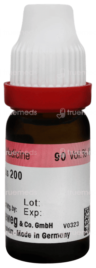 Dr Reckeweg Agnus Castus 200 Dilution 11ml