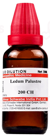 Dr Willmar Schwabe Ledum Palustre 200Ch Dilution 30Ml