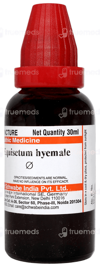 Dr Willmar Equisetum Hyemale Q Mother Tincture 30ml