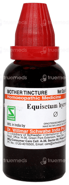 Dr Willmar Equisetum Hyemale Q Mother Tincture 30ml