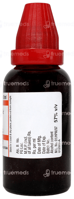 Dr Willmar Equisetum Hyemale Q Mother Tincture 30ml