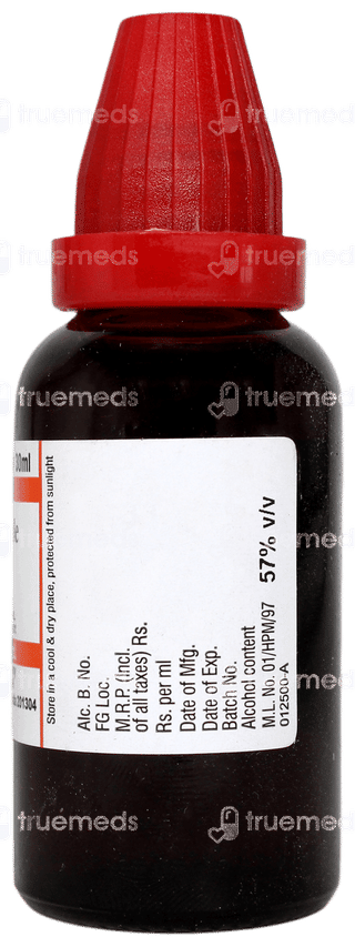 Dr Willmar Equisetum Hyemale Q Mother Tincture 30ml