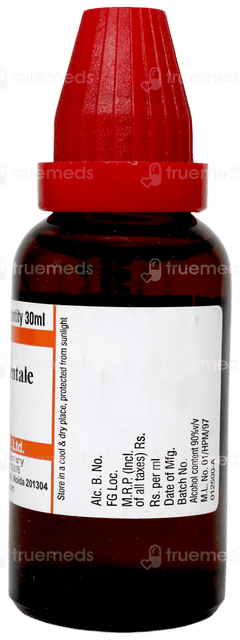 Dr Willmar Schwabe Anacardium Orientale 30ch Dilution 30ml