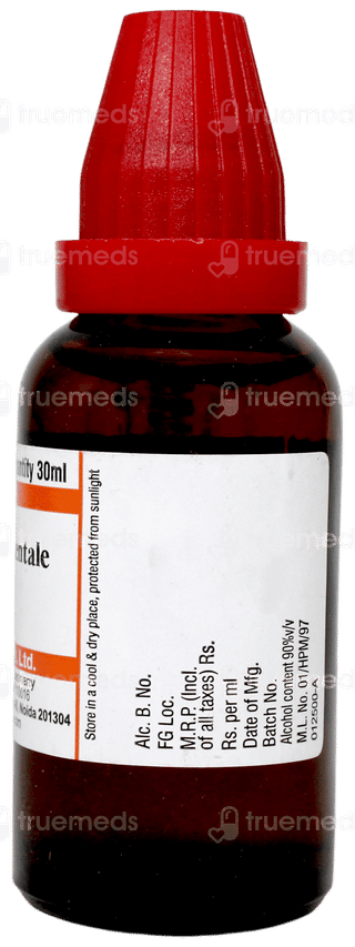 Dr Willmar Schwabe Anacardium Orientale 30ch Dilution 30ml