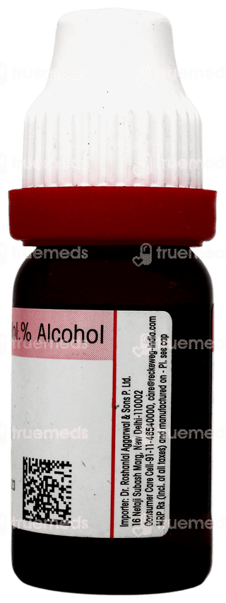 Dr Reckeweg Terebinthinae 30 Dilution 11Ml