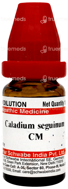 Dr Willmar Caladium Seguinum Cm Ch Dilution 10 ML