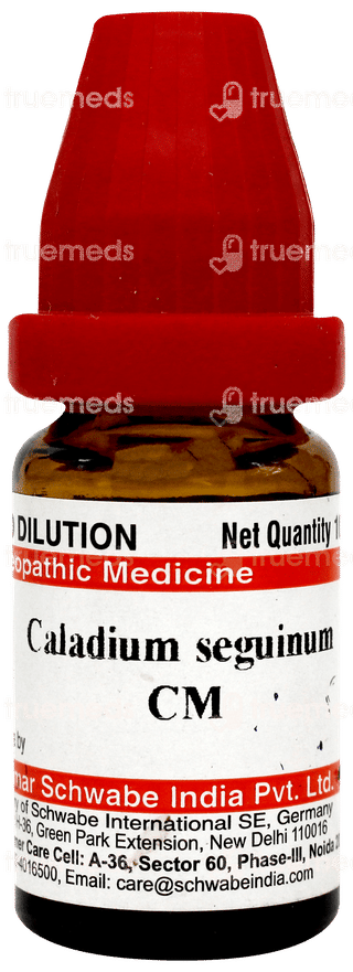 Dr Willmar Caladium Seguinum Cm Ch Dilution 10 ML