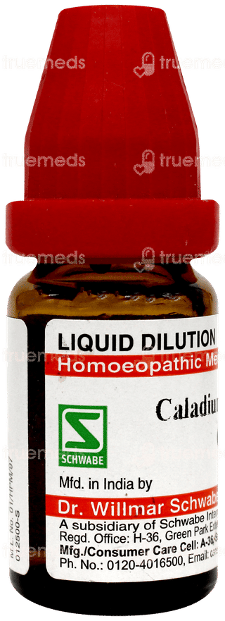 Dr Willmar Caladium Seguinum Cm Ch Dilution 10 ML