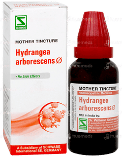 Dr Willmar Hydrangea Arborescens Q Mother Tincture 30 ML Dr Willmar Hydrangea Arborescens Q Mother Tincture 30 ML