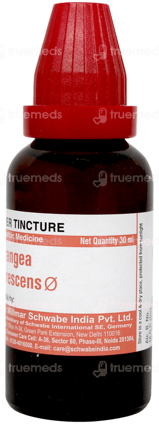 Dr Willmar Schwabe Hydrangea Arborescens Q Mother Tincture 30ml