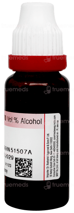 Dr Reckeweg Allium Sativum Q Mother Tincture 20ml Dr Reckeweg Allium Sativum Q Mother Tincture 20ml