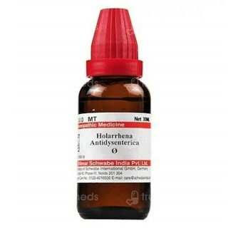 Dr Willmar Holarrhena Antidysenterica Q Mother Tincture 30 Ml