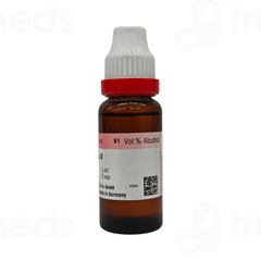 Dr Reckeweg Blatta Ori Q Mother Tincture 20ml