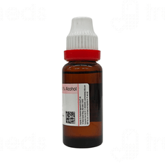 Dr Reckeweg Blatta Ori Q Mother Tincture 20ml