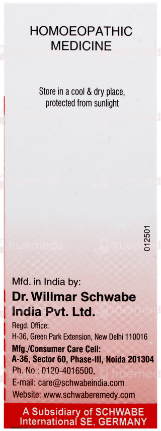 Dr Willmar Schwabe Graphites 30ch Dilution 30ml