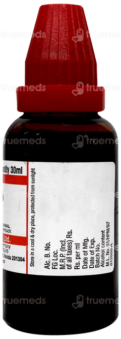 Dr Willmar Schwabe Bellis Perennis Q Mother Tincture 30Ml Dr Willmar Schwabe Bellis Perennis Q Mother Tincture 30Ml