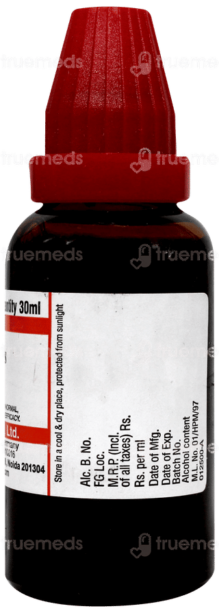 Dr Willmar Schwabe Bellis Perennis Q Mother Tincture 30Ml