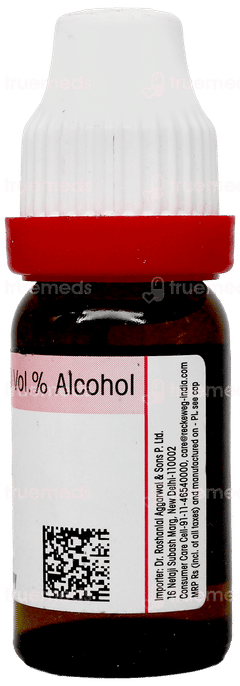 Dr Reckeweg Tarentula Hispanica 30 Dilution 11 Ml