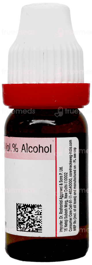 Dr Reckeweg Tarentula Hispanica 30 Dilution 11 Ml