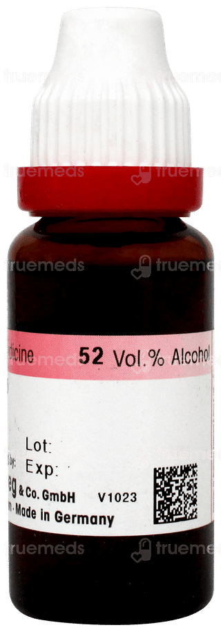 Dr Reckeweg Sarsaparilla Q Mother Tincture 20ml