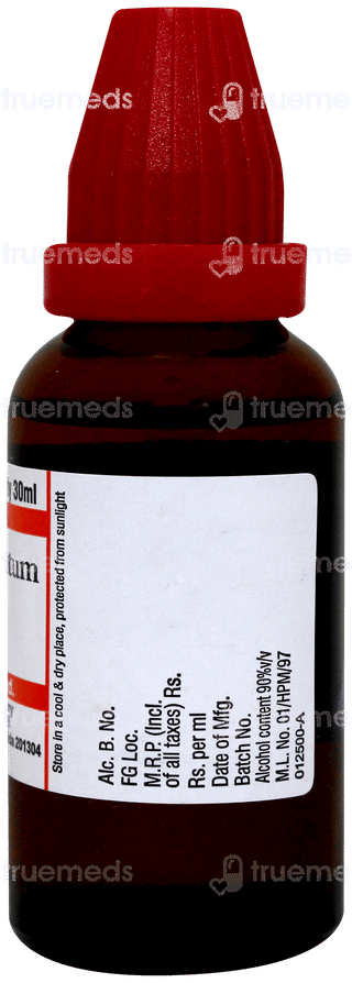 Dr Willmar Schwabe Conium Maculatum 30ch Dilution 30ml